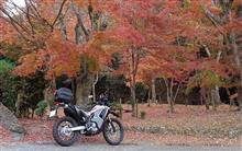 Be an adventure bike rider 🚴!　 Exper!ence 童謡と淡口醤油と紅葉の里　＠ 龍野の街並　もみじ見游散歩 🏃! 