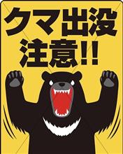 クマ出没🐻