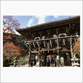 京都 西山 善峯寺の紅葉を撮 ...