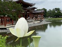 オッサンの修学旅行2020 7月連休に京都奈良~その10 オッサンの修学旅行2020 7月連休に京都奈良~その10