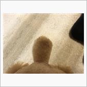 カットしてスッキリ！