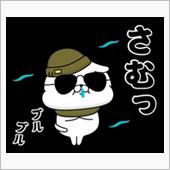 冬装備換装