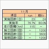 ２０２０年１１月ランニング＆ ...