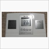 月末体重報告第七回（11月）