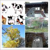 令和二年十二月『生命の言葉』 ...