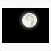 早いモンで12月になりました ...