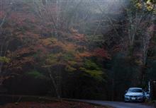 天城・修善寺で紅葉撮影 天城・修善寺で紅葉撮影