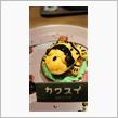 カワスイ カエル 食べた