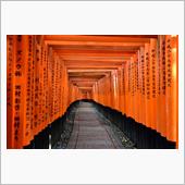 京都行きてぇ～！