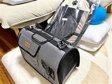 母は準備に余念がない