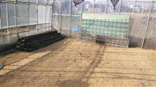 微生物肥料、全て4反の田んぼに散布☆彡