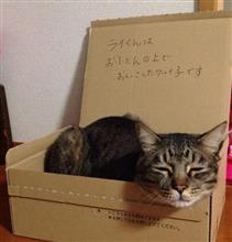 なんかの仕返しなの？