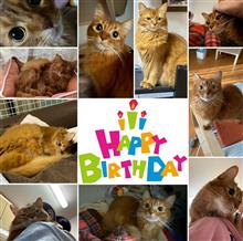 こまちちゃんのお誕生