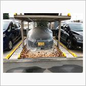 久しぶりに愛車とご対面