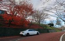 今シーズン最後の紅葉・・・