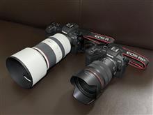 またまたEOS R