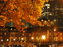 🍂秋の風物詩巡り『都内銀杏並木編 一日目』🍂