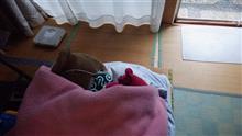 雨が降れば気温も下がる季節だよね･････
