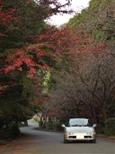 早朝紅葉撮影会