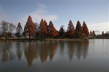 穏やかな湖畔