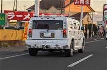 迫られるとコワイ。
