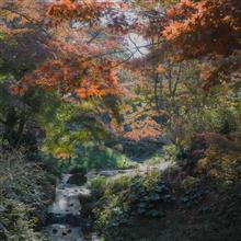 光と戯れてきました。