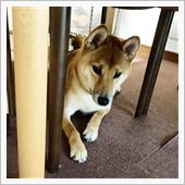 最近のあんなこととかこんなこ ...