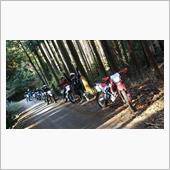 久々快晴のY城林道ツーリング