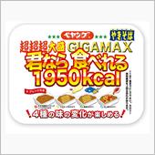 これなら…