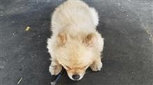 電動スライドドアが動かない(&gt;_&lt;)