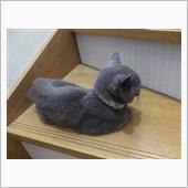 今季も頑張らない