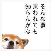 帰宅。