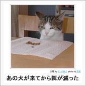 やっとこさのどっこいスペーサ ...