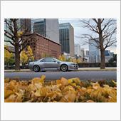 落ち葉🍂踏み踏み。