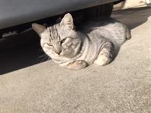 今日も良いお天気です