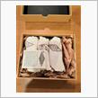 SEYMOUR DUNCAN / Antiquity Texas Hot Strat Set