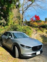 【新町へ・もう１つの県道③】安庭へ