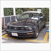 いにしえのマスタング像、S1 ...