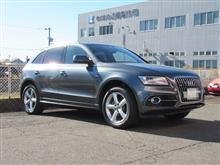 エンジン内部のカーボン落とし..AUDI Q5　スナッポンドクターカーボン
