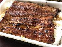 ささやかにお祝い♪ 鰻弁当 川越うな吉
