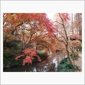 紅葉狩り（2回目）