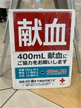今年最後の