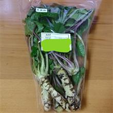【天然物】わさび😁