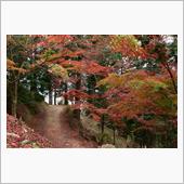2020年紅葉納め