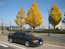 一人横須賀、公園散策 一人横須賀、公園散策