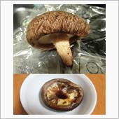 椎茸