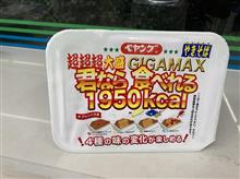 食べきれなかった・・・・