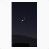 体温２３３