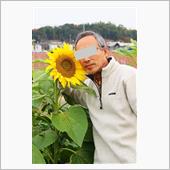 季節外れのヒマワリ