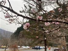 多摩の奥のほう、すなわち、奥多摩の集い